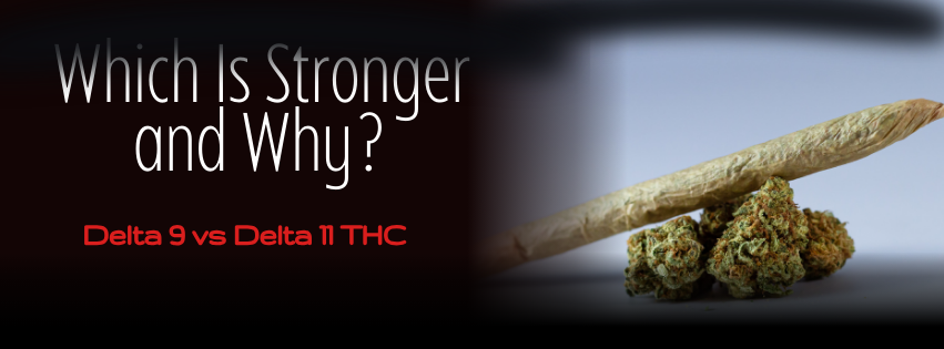 Delta 9 vs Delta 11 THC: Which Is Stronger and Why?