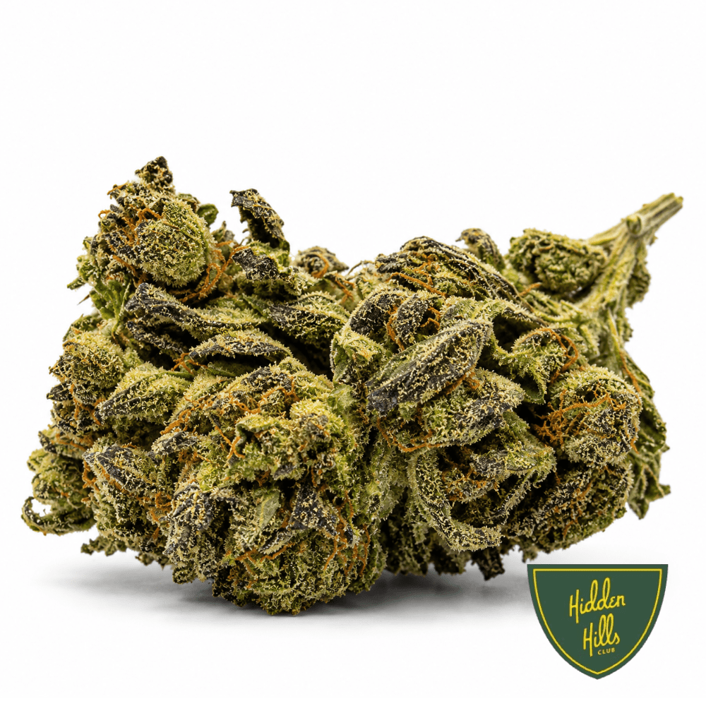 Nightshade - Hidden Hills Club