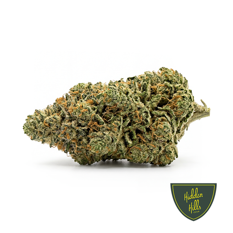 BLUE NERDS – Hidden Hills Club