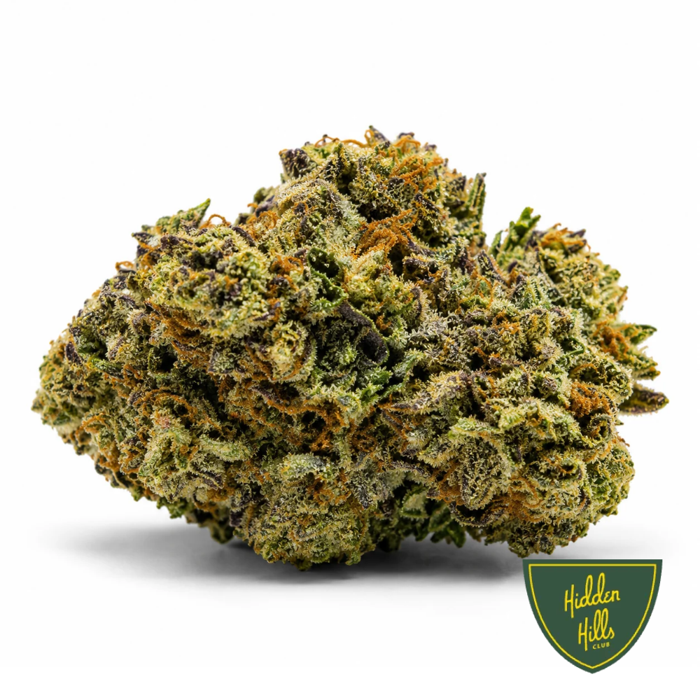 Gelato King
