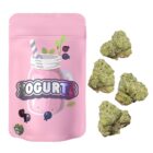 Zogurts
